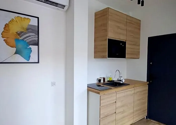 Mh Towarnickiego 公寓 *